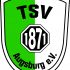 TSV Logo
